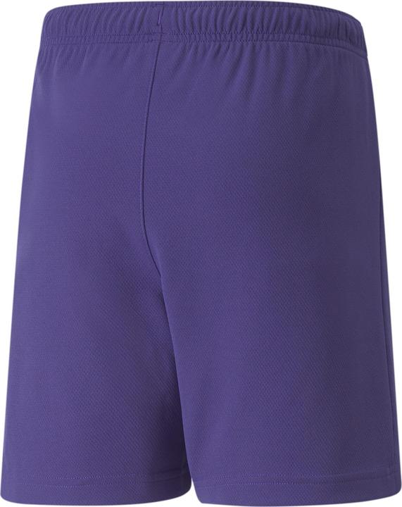 Image du produit Puma Short teamRISE Jr-704943 (176)