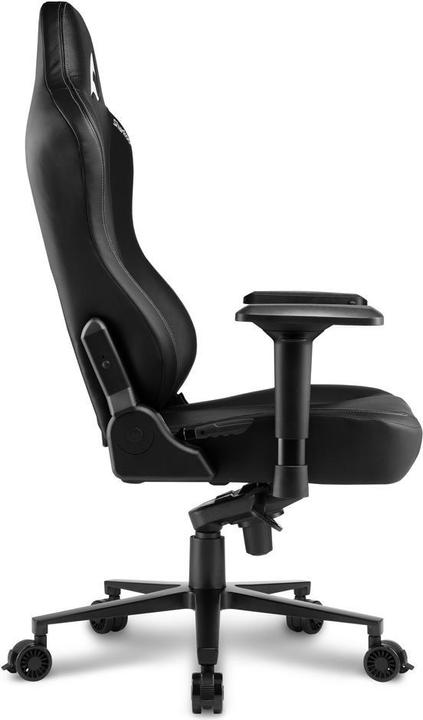 Image du produit Sharkoon PU, acier, 4D, 0° - 14°, classe 4, max.