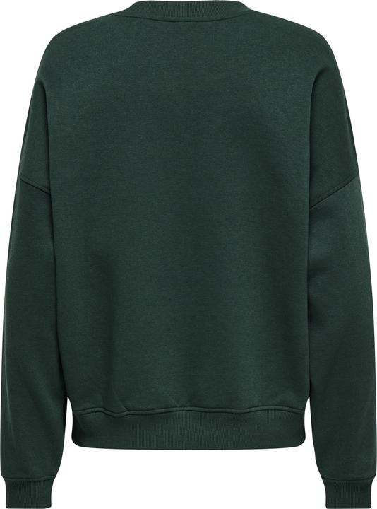 Actual product image JdY Jdymesa L/S O-Neck Emb Sweat Jrs Noos (L)