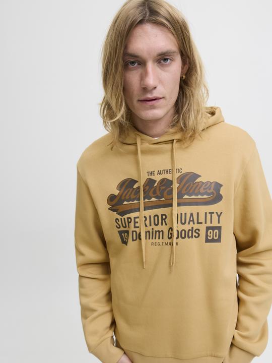 Actual product image Jack & Jones JJELOGO SWEAT HOOD 2 COL 25/26 NOOS (XXL)