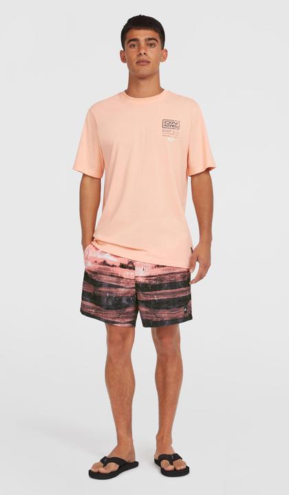 Actual product image O'Neill Cali Gradient 15" Swimshorts (XL)
