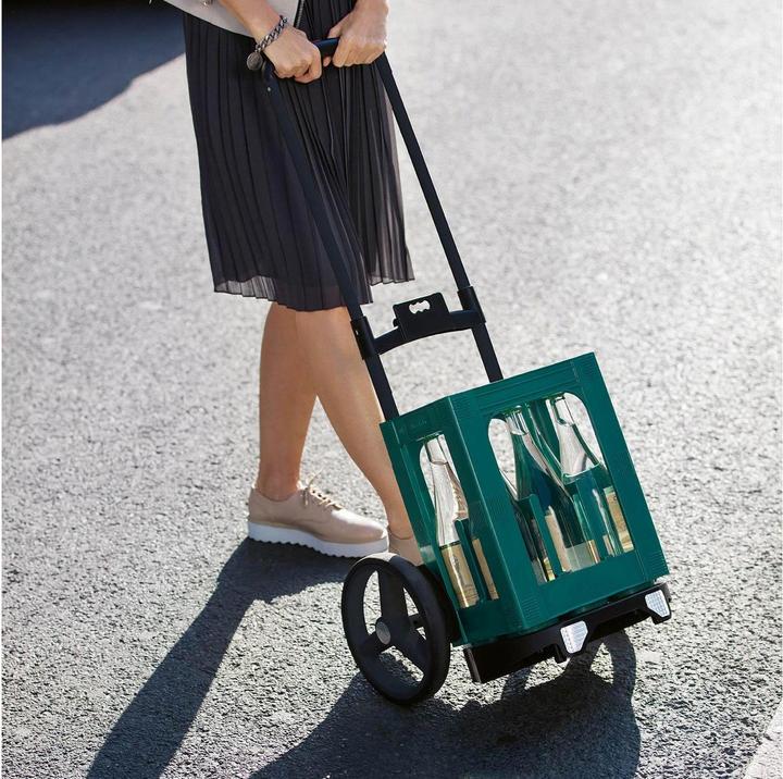 Produktbild reisenthel Citycruiser Rack
