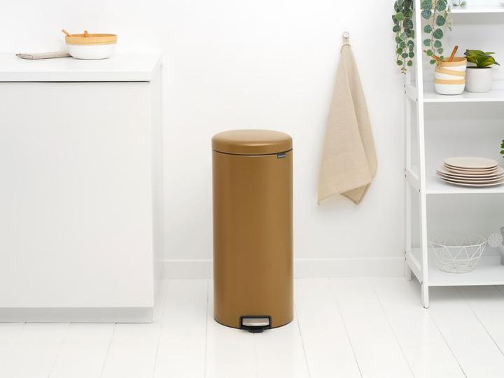 Image du produit Brabantia newIcon (30 l)