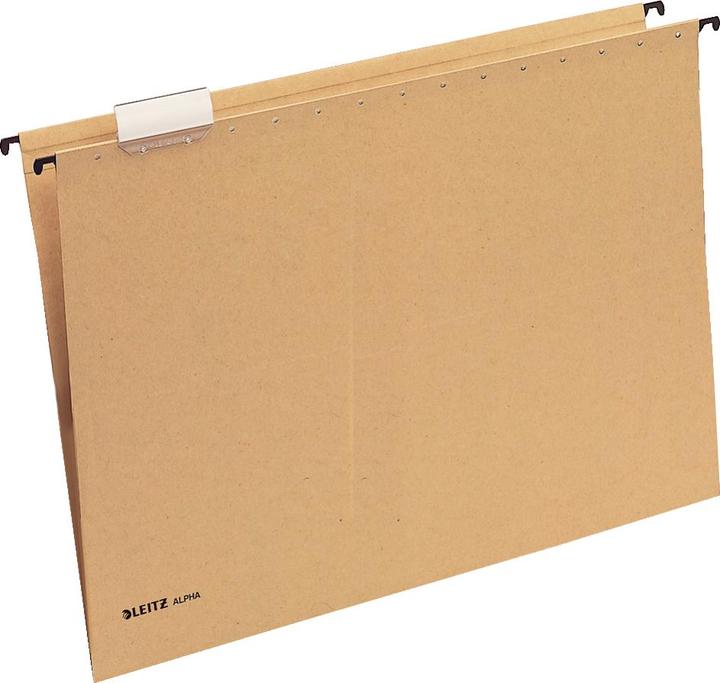 Actual product image Leitz Alpha suspension file (A3, 1 x)