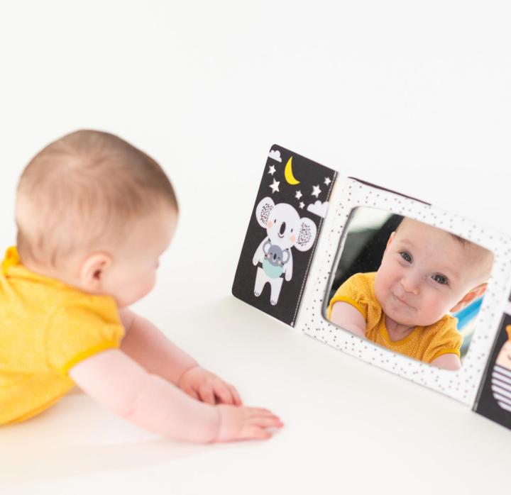 Produktbild Taf Toys Koala (Deutsch, Französisch, Italienisch, Englisch)