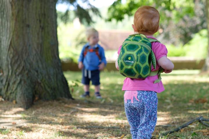 Actual product image Littlelife Turtle