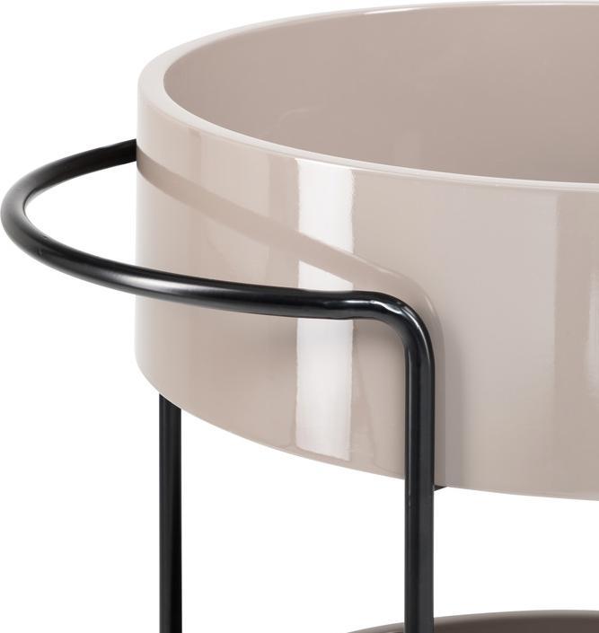 Actual product image pfister serving