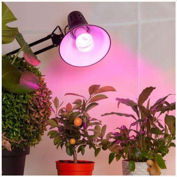 Productafbeelding Visional LED spuldze E27 15W priekš augiem / Fito spuldze (LED, 240 V)