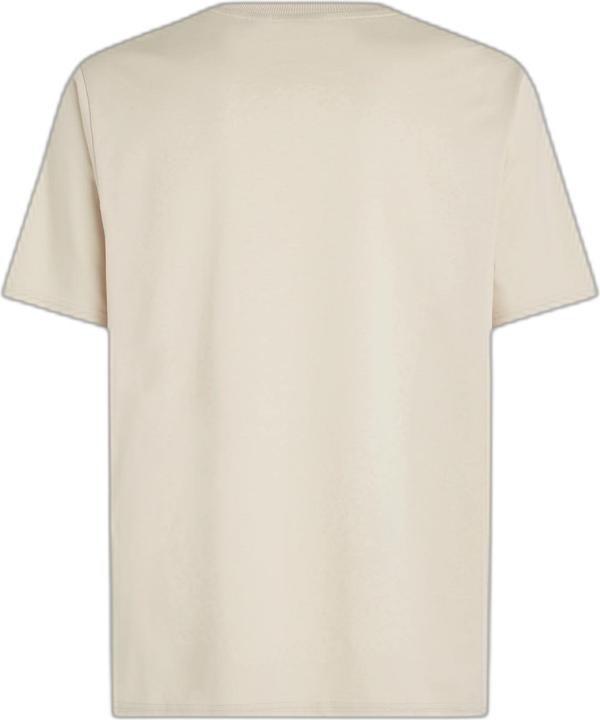 Immagine prodotto O'Neill t-shirt il futuro del surf (XL)