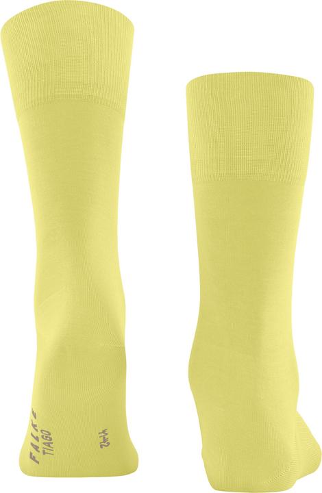 Actual product image Falke Tiago Herren (43 - 44)