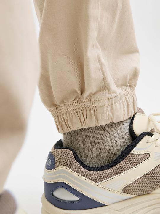 Actual product image Jack & Jones Jpstkane Troy Cuffed Jogger Sn (L)