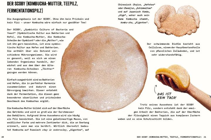 Immagine prodotto Kombucha do it yourself (Tedesco, Julie Ponge, 2023)