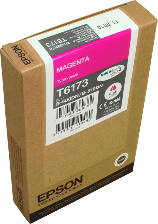 Actual product image Epson T6173 (M)