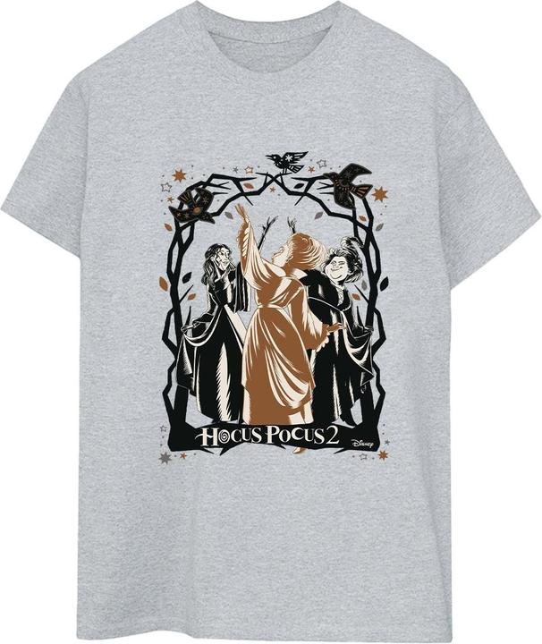 Disney Hocus Pocus Birds TShirt (XL)