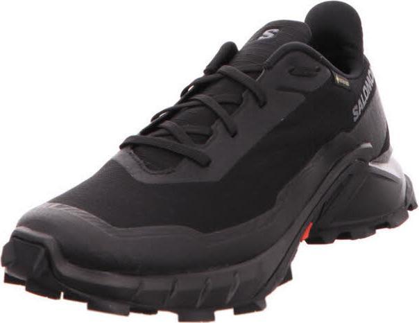 Immagine prodotto Salomon Alphacross 5 GTX - 59879 (44)