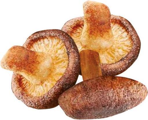 Immagine prodotto Forestly Foods Chips di funghi croccanti sale e pepe (50 g)