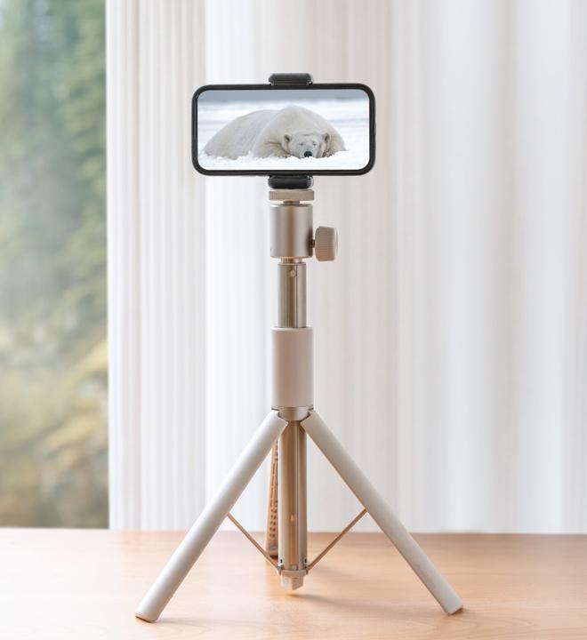 Produktbild XGIMI Portable Stand (Tisch, Boden)