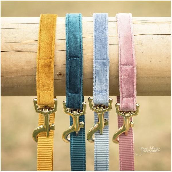 Produktbild Kentucky Dogwear Hundeleine Velvet (L, Hund, Allgemein)