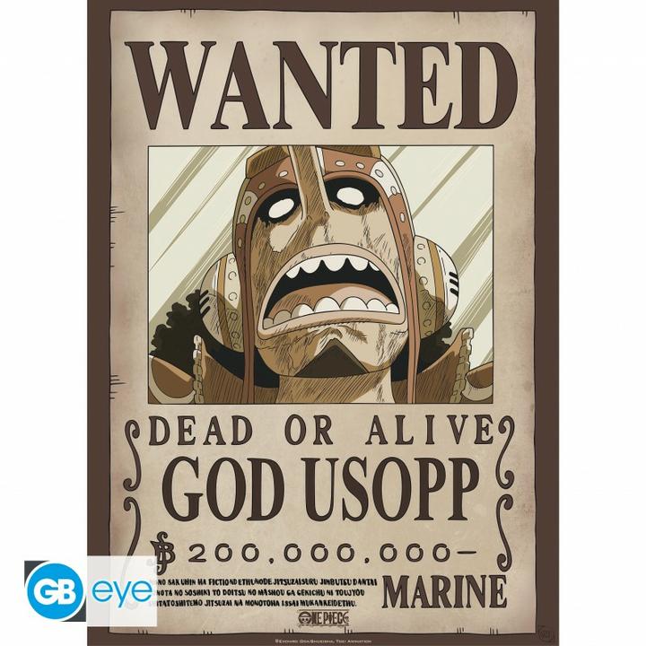 Actual product image GB Eye One Piece - Franky & Usopp (52 x 38 cm)
