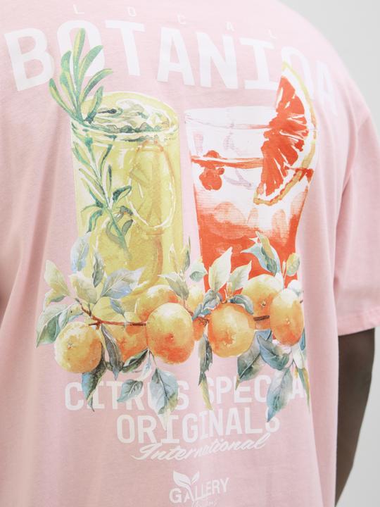 Produktbild Jack & Jones Jorbotaniq Tee Ss Crew Neck Tg Ln (M)