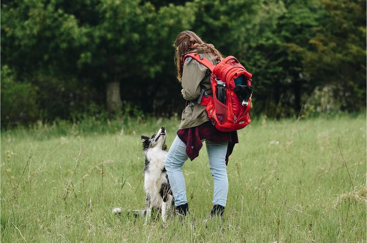 Actual product image Kurgo G-Train K9 (Dog, Safety closure)