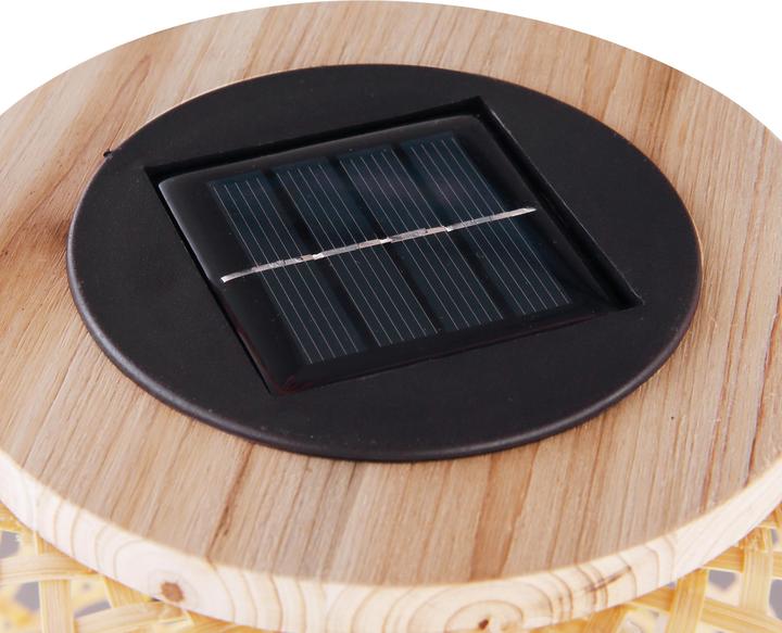 Actual product image Globo Bamboo (IP44)