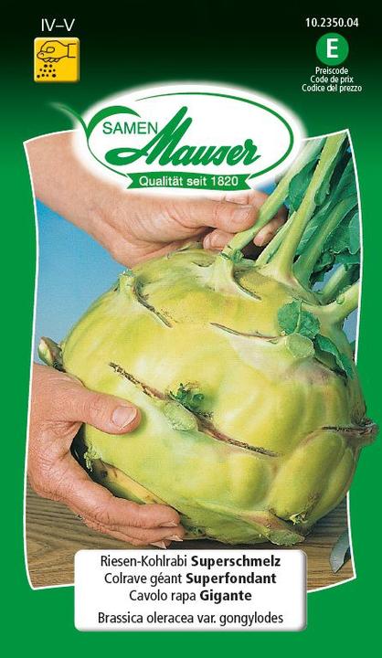 Produktbild Samen Mauser Riesen-Kohlrabi Superschmelz (Gemüsesamen)