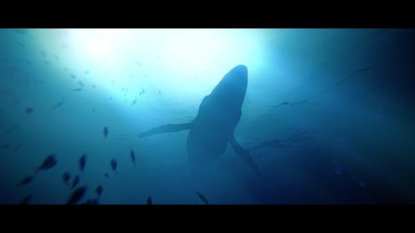 Produktbild Quantic Dreams Under The Waves Deluxe Edition (PS4, DE)