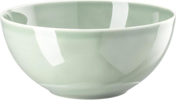 Actual product image Thomas Daily - Moss Green - Bowl 24 cm (23.80 cm, 2.80 l, 1 x)