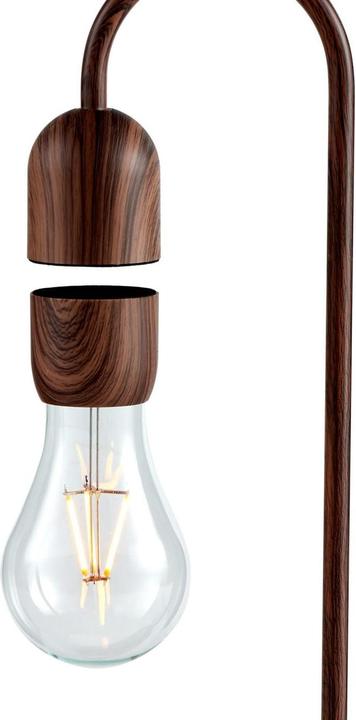 Actual product image Gingko Evaro Lightbulb Lamp