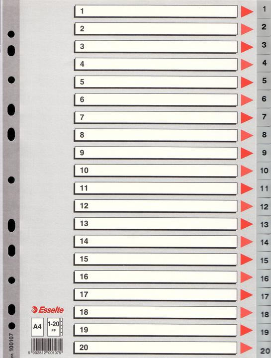 Actual product image Esselte Plastic register