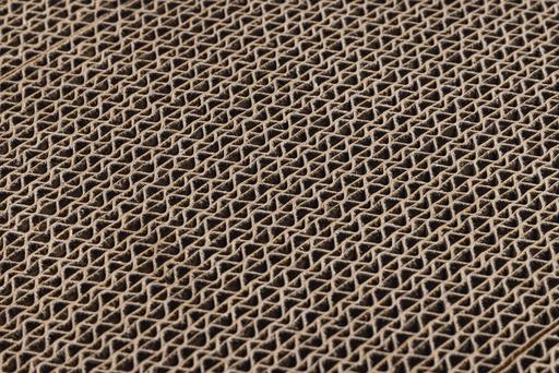 Actual product image Designed by Lotte Karton Kratzspielzeug Suvi (9 cm, Beige)