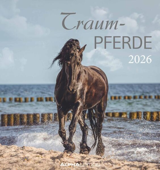 Immagine prodotto Traumpferde2026-Postkartenkalender16x17cm-Horses-zumAufstellenoderAu (16 x 17 cm, Tedesco)