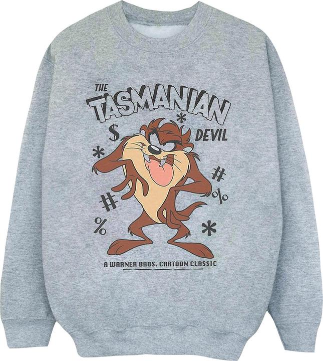 Looney Tunes Sweatshirt Jungen