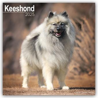 Actual product image Avonside Publishing Ltd:Keeshond - Wolf (305 x 305 mm, German)