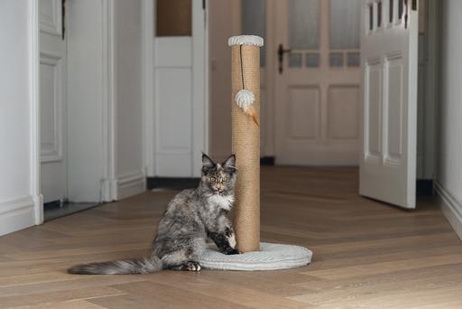 Actual product image Designed by Lotte Scratching post (70 cm, Light grey)
