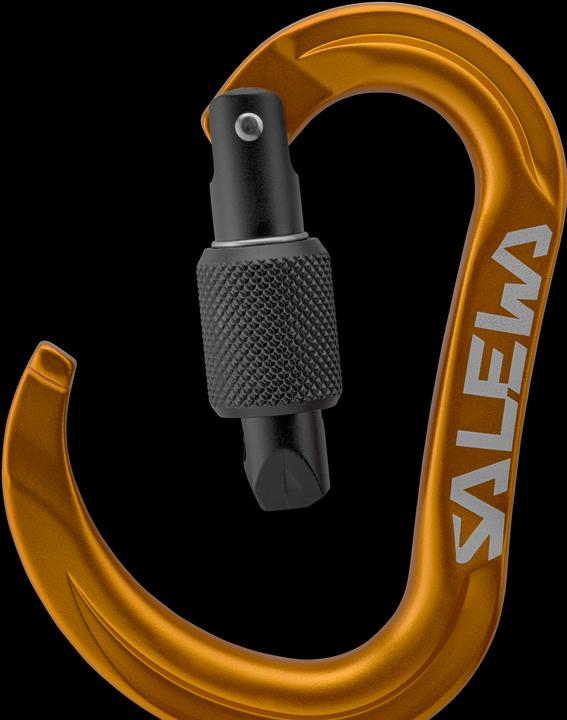 Actual product image Salewa Ortles Hms S Carabiner