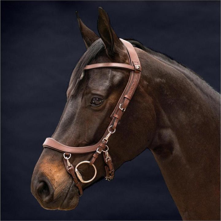 Actual product image Pres Teq Zaum FaySport