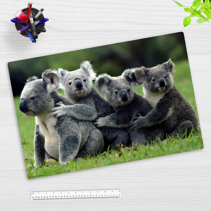 Produktbild CoverYourDesk Schreibunterlage KOALA (60 x 40 cm)