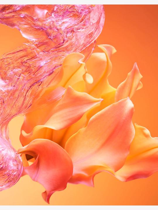 Actual product image Allegra Passeggiata (Eau de parfum, 50 ml)