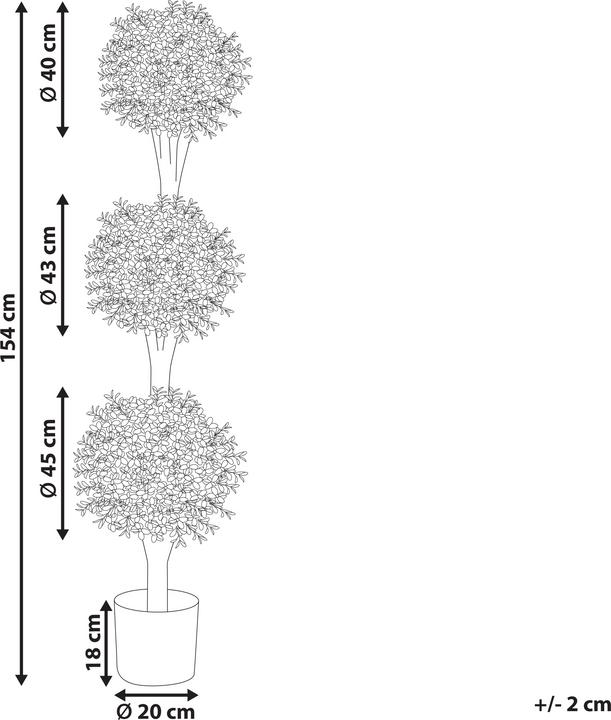 Image du produit Beliani Buxus Ball Tree (154 cm)