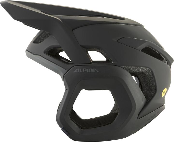 Image du produit ALPINA SPORTS Root Mips (52 - 57 cm)