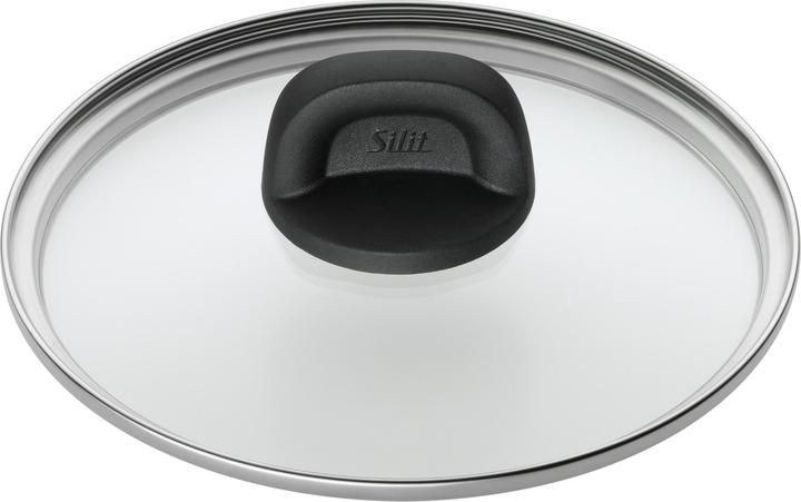 Produktbild Silit Kochtopf Fleischtopf Induktion 20cm Glasdeckel 3,7l Modesto Line Silargan (20 cm, Kochtopf, Edelstahl)