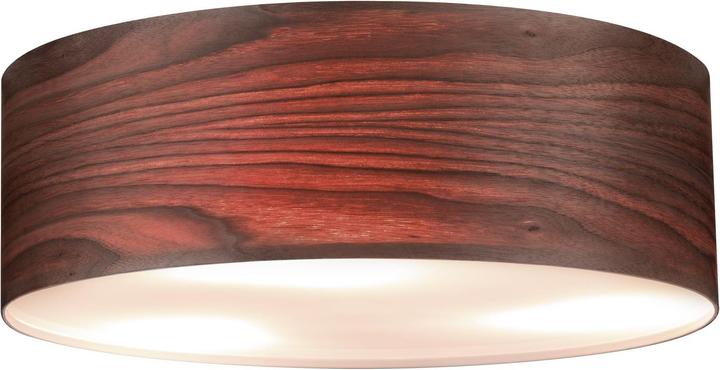 Actual product image Paulmann Neordic Liska (E27)