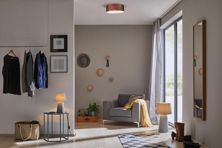 Actual product image Paulmann Neordic Liska (E27)