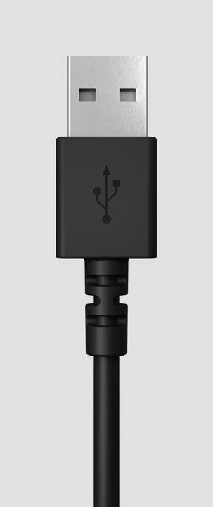 Actual product image Logitech H390 (Cable, USB-A)