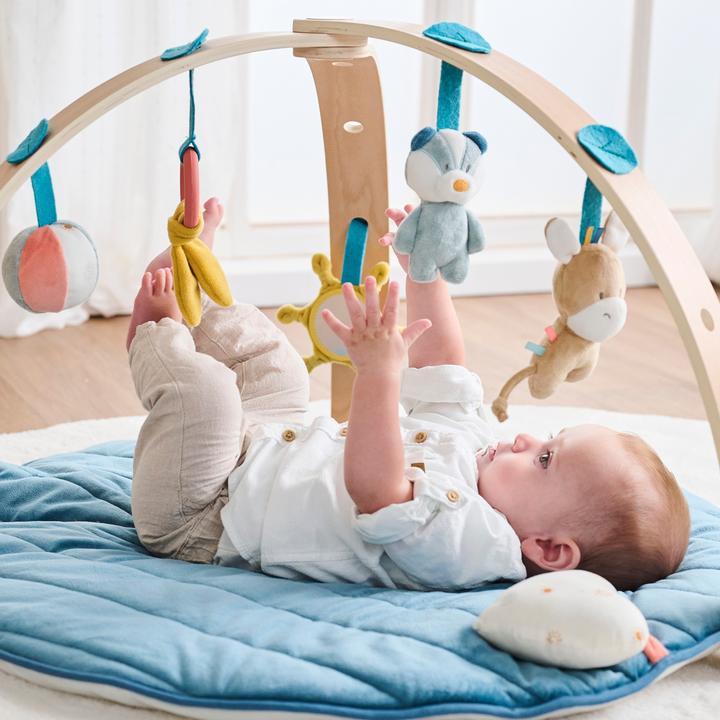Image du produit Nattou Félix et Léo avec arches