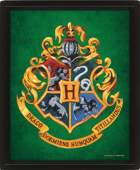 Actual product image Slytherin 3D Framed Picture