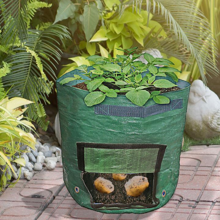 Image du produit Grüner Jan Sac de plantation avec fenêtre de récolte