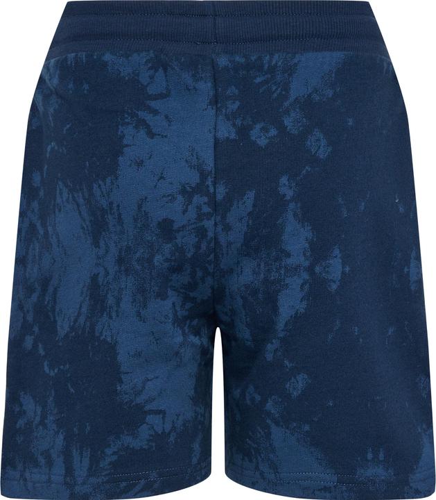Actual product image hummel Hmljump Aop Shorts (146)
